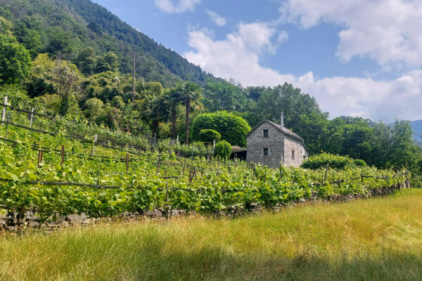 En pleine nature dans les Centovalli