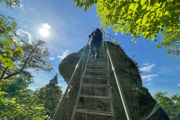 Idylle im hohen Norden 