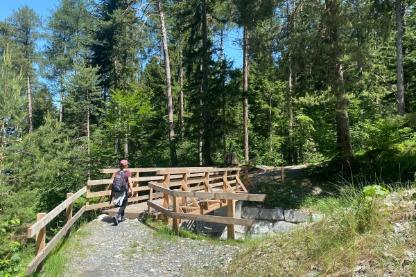 Randonnée apaisante dans la vallée du Rhin alpin