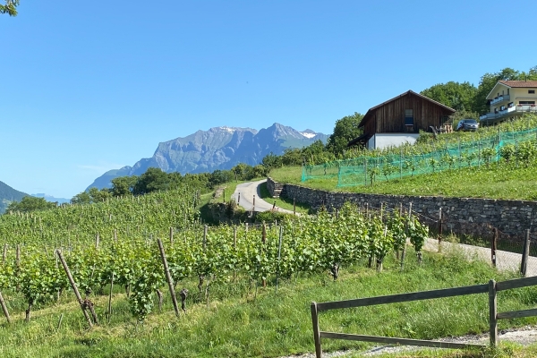 Escursione nella regione del Reno alpin