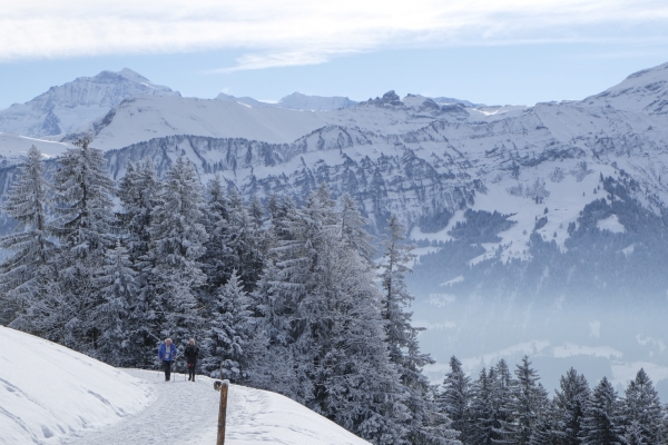 Beatenberg et les Alpes bernoises enneigées