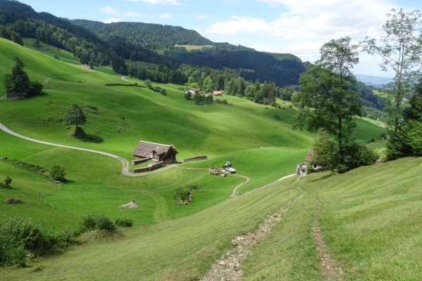 Entre le Pilate et le Bürgenstock