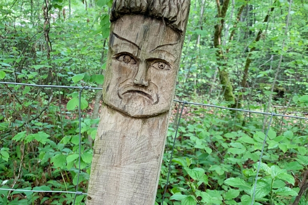 Des méandres de la Sarine à la sauvage Gérine