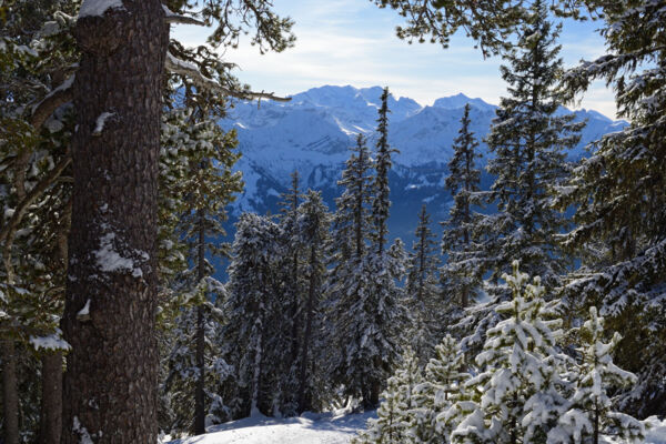Schneeschuhtour am Niederhorn
