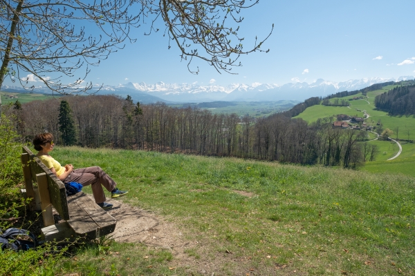 Auf dem Gürbetaler Höhenweg