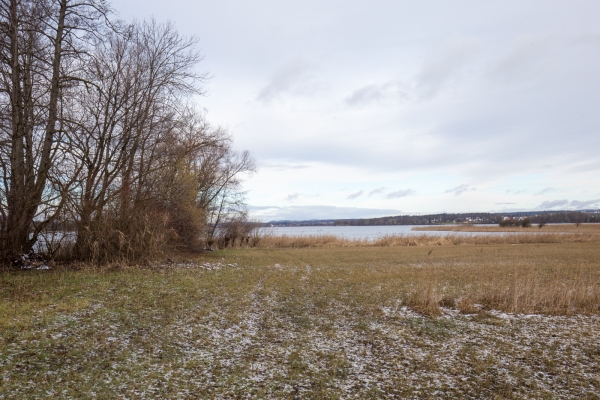 Promenade hivernale au lac de Greifen