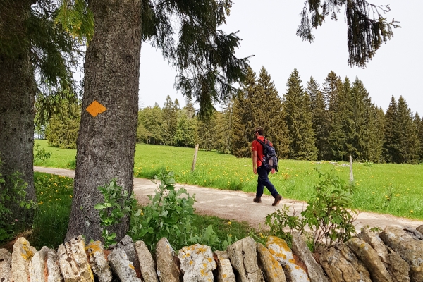 L’énergie dans le Jura bernois