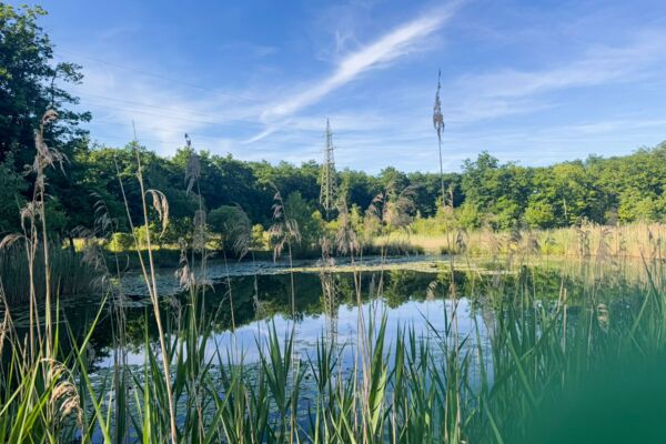 Una tranquilla passeggiata tra natura e città