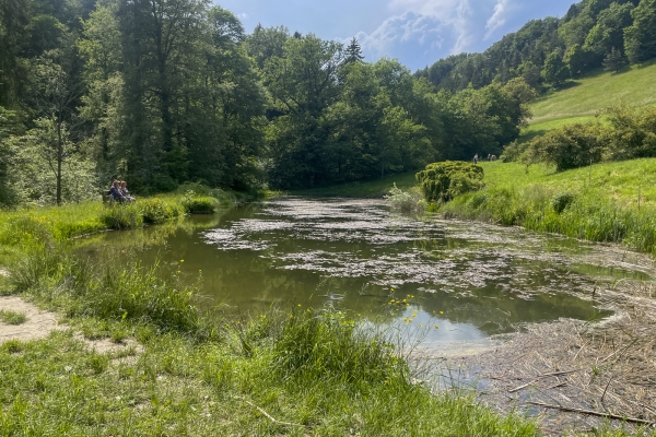 Par des chemins sinueux