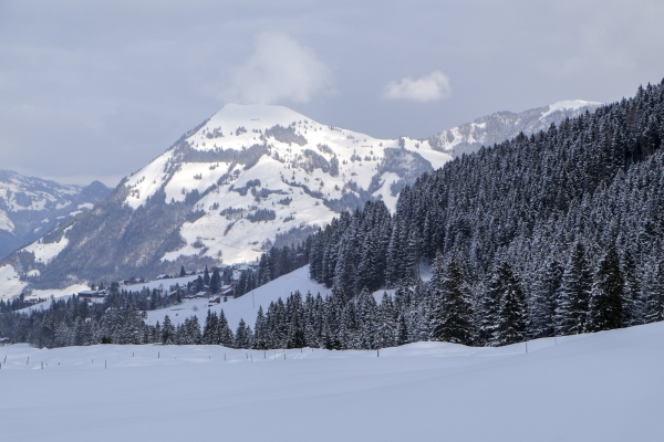 Im Seilbahnland Nidwalden