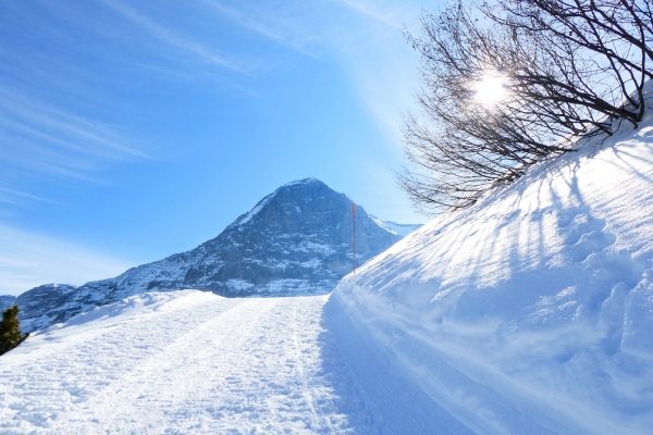 Marcher face à l’Eiger