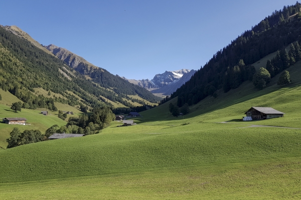 Vue au sommet dans le Diemtigtal