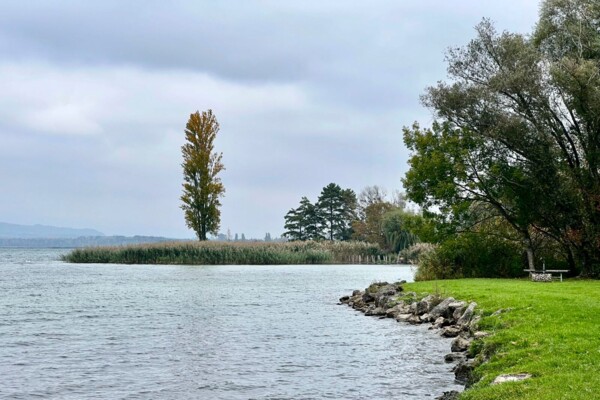 Wandern und beobachten in La Sauge