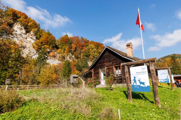 Durch die Kastanienselven im Chablais