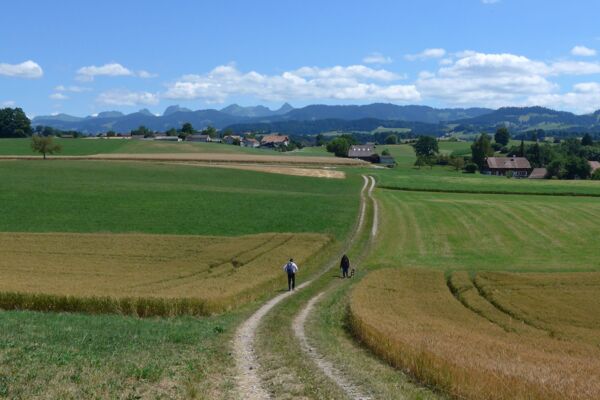 Schwarzenburgerland