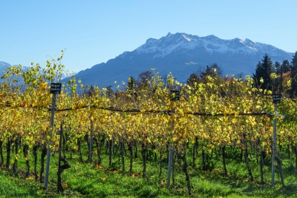 Zu den Schotterebenen im Luzerner Seeland