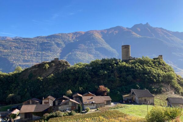 Des vignes et un pont suspendu