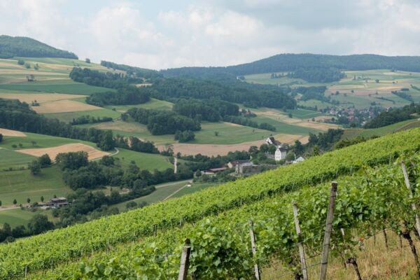 Auf Reptilien-Tour im Schenkenbergertal