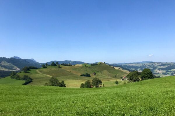 Simpatica escursione per la famiglia attraverso un paesaggio di drumlin