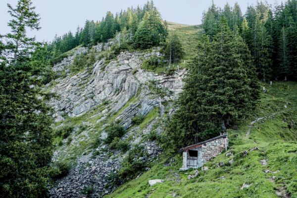 Seilbahnen, Bergwiesen und Flechtenwälder