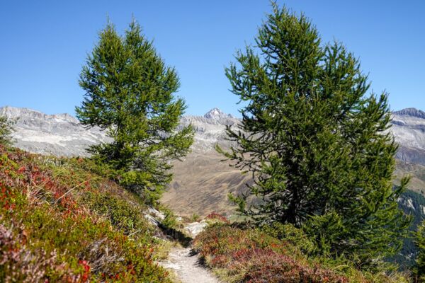 Canali d’irrigazione e panorama sul Foggenhorn
