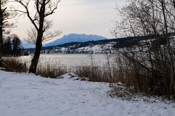 Milde Winde am Baldeggersee