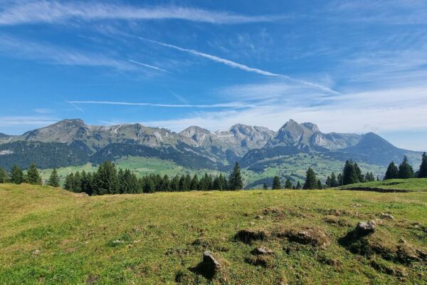 Klangweg Toggenburg - Wanderung für Augen und Ohren
