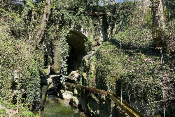 Rund um Neuenburg in die Natur eintauchen