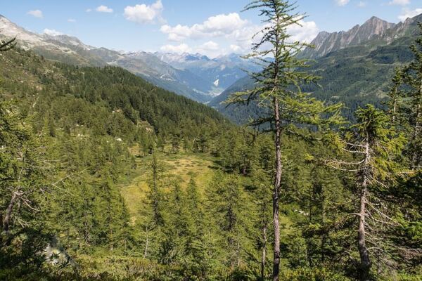 Vom Gotthard nach Obergesteln (3. und 4. Etappe - 4 Quellenweg)