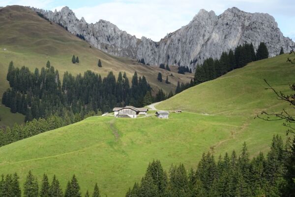 Höhenwanderung im Saanenland