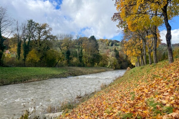 Sur les traces d’un des plus célèbres peintres vaudois