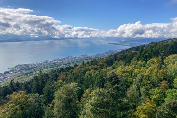 Nach Neuchâtel verschleppter Findling