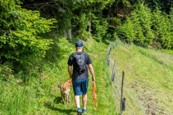 Tranquilla escursione ai margini dell’Emmental