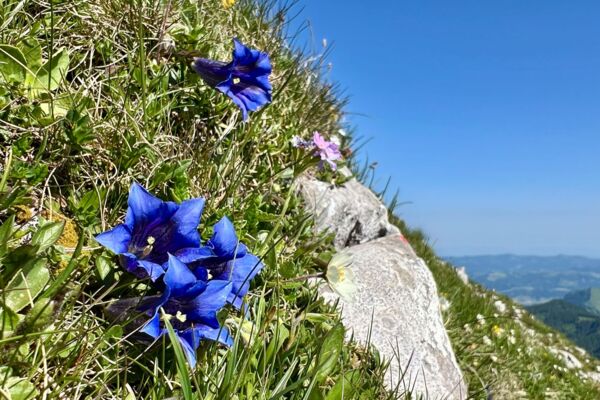 Wanderung über den Grat der Schratteflue