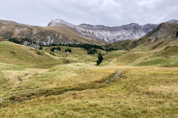 Gletscherspuren auf der Elsigenalp