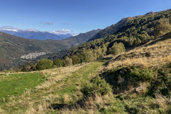 Rocce montonate nel Ticino meridionale