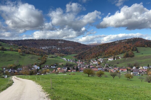 Sur la crête du Fringeliberg