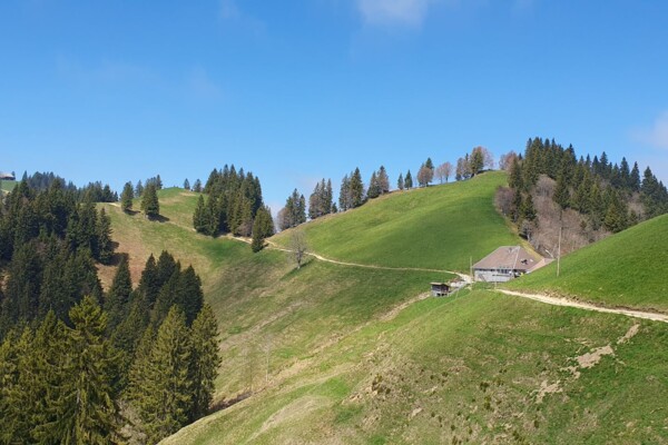 Randonnée au Napf 1406m dans le tour du Fankhausgraben