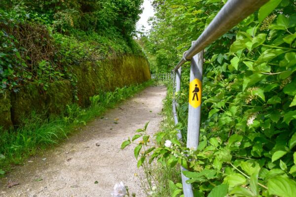 Auf dem Uferweg zum Baselbieter Hardwald