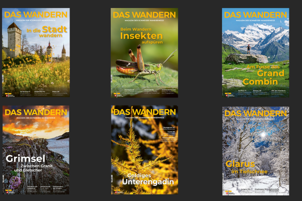 Cover-Abstimmung