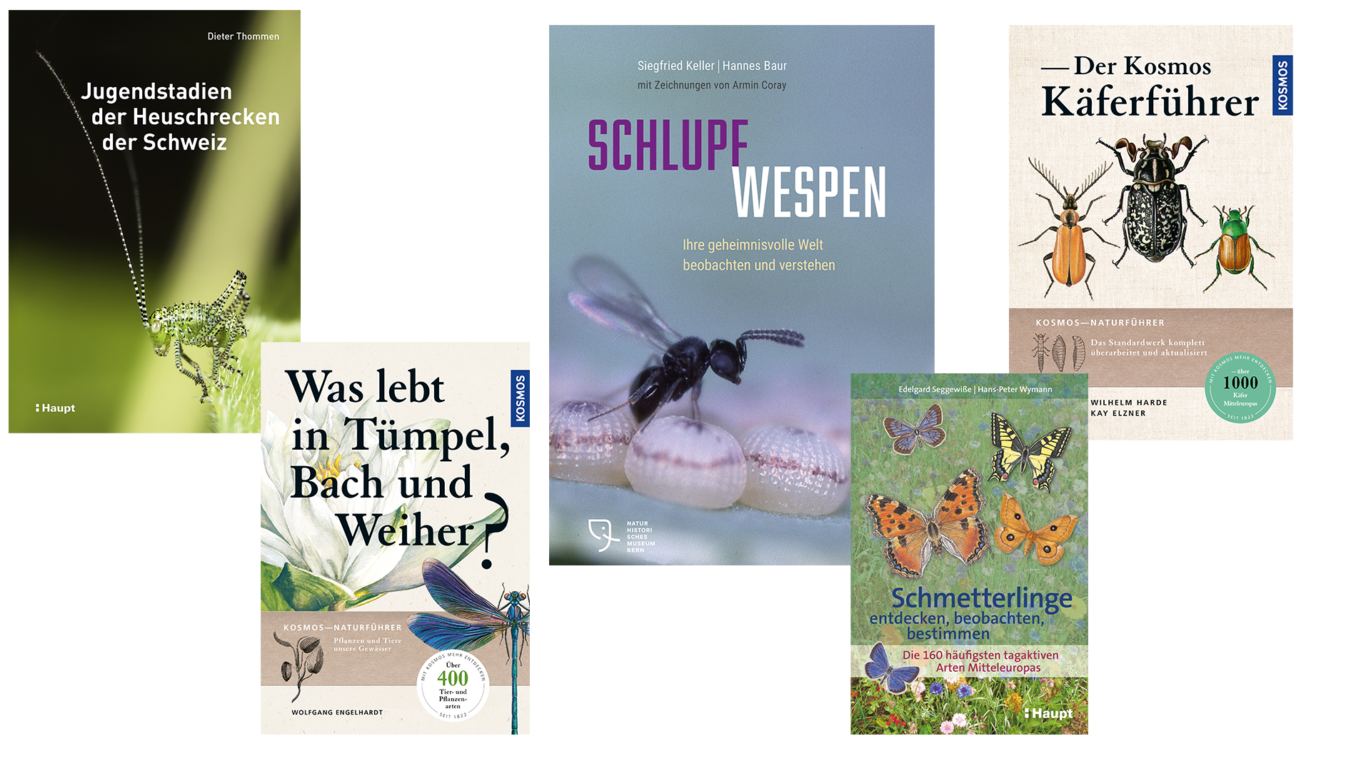 Bücher_d