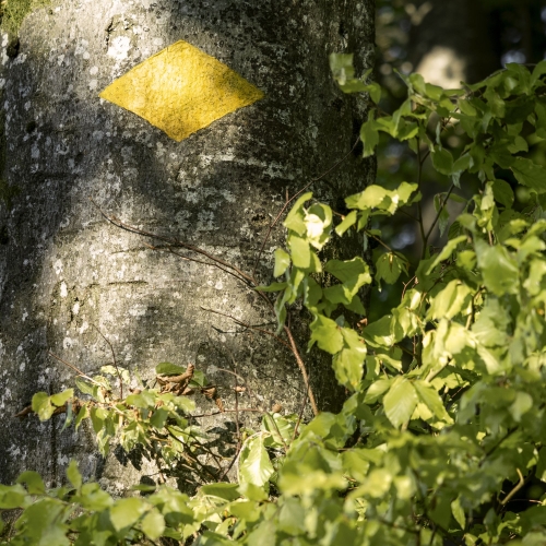 marquage-peint_chemin-de-randonnée-pédestre