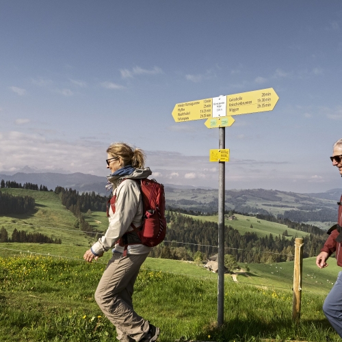 indicateur de direction chemin de randonnée pédestre Emmental