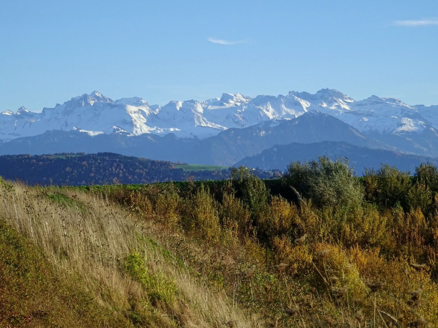 Un paysage vallonné de drumlins au premier plan, les Alpes de Suisse centrale à l’arrière