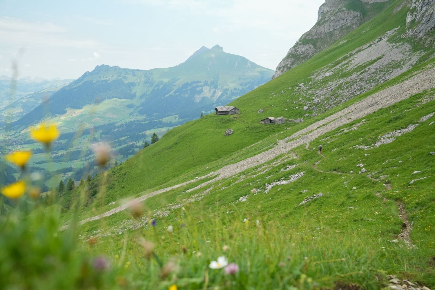 Auf der Traverse nach der Geltenhütte SAC. Hier gibt es viele Murmeltiere.