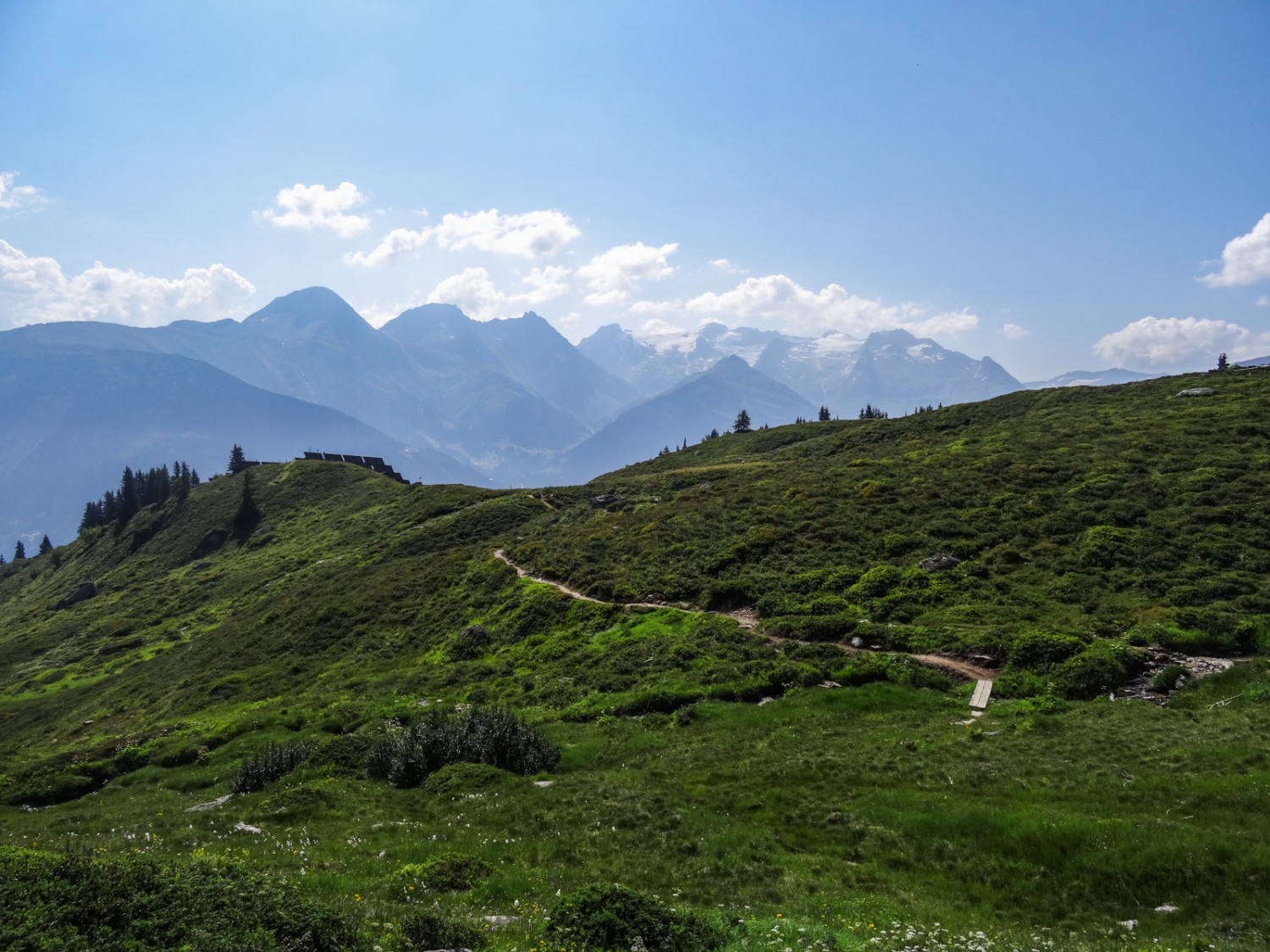 Le sentier de montagne est assez plat au début.