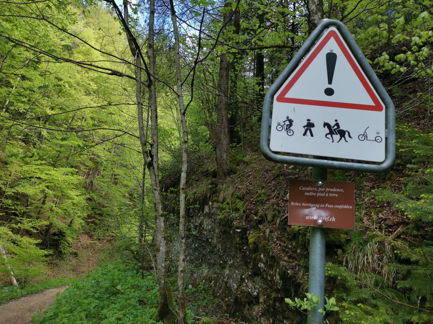 Un chemin où l’on ne rencontre pas seulement des randonneurs. Photo: Evelyne Zaugg