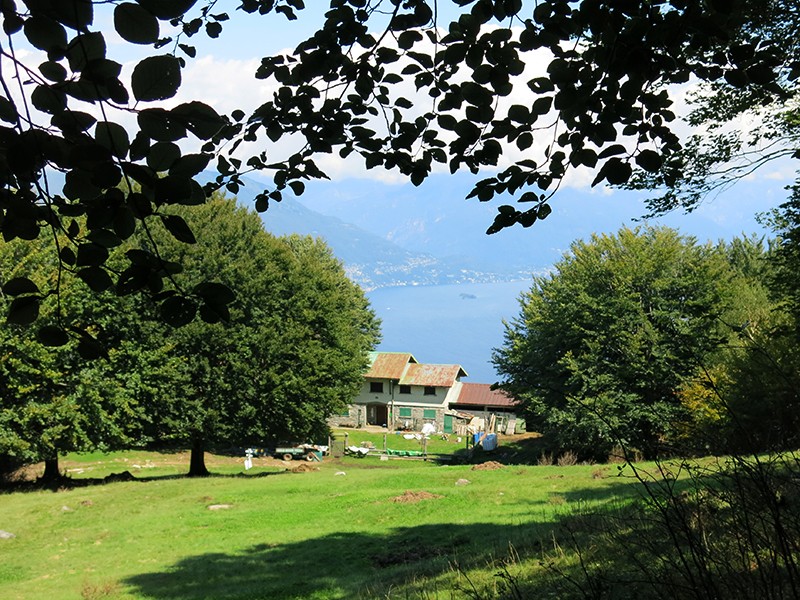 De l’Alp Pro Redond, on est à deux pas du Monte Carza. Photos: Jürg Rüttimann