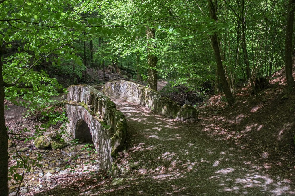 Le chemin longeant l’Elefantenbach est parsemé de petits ponts. Photo: Claudia Peter