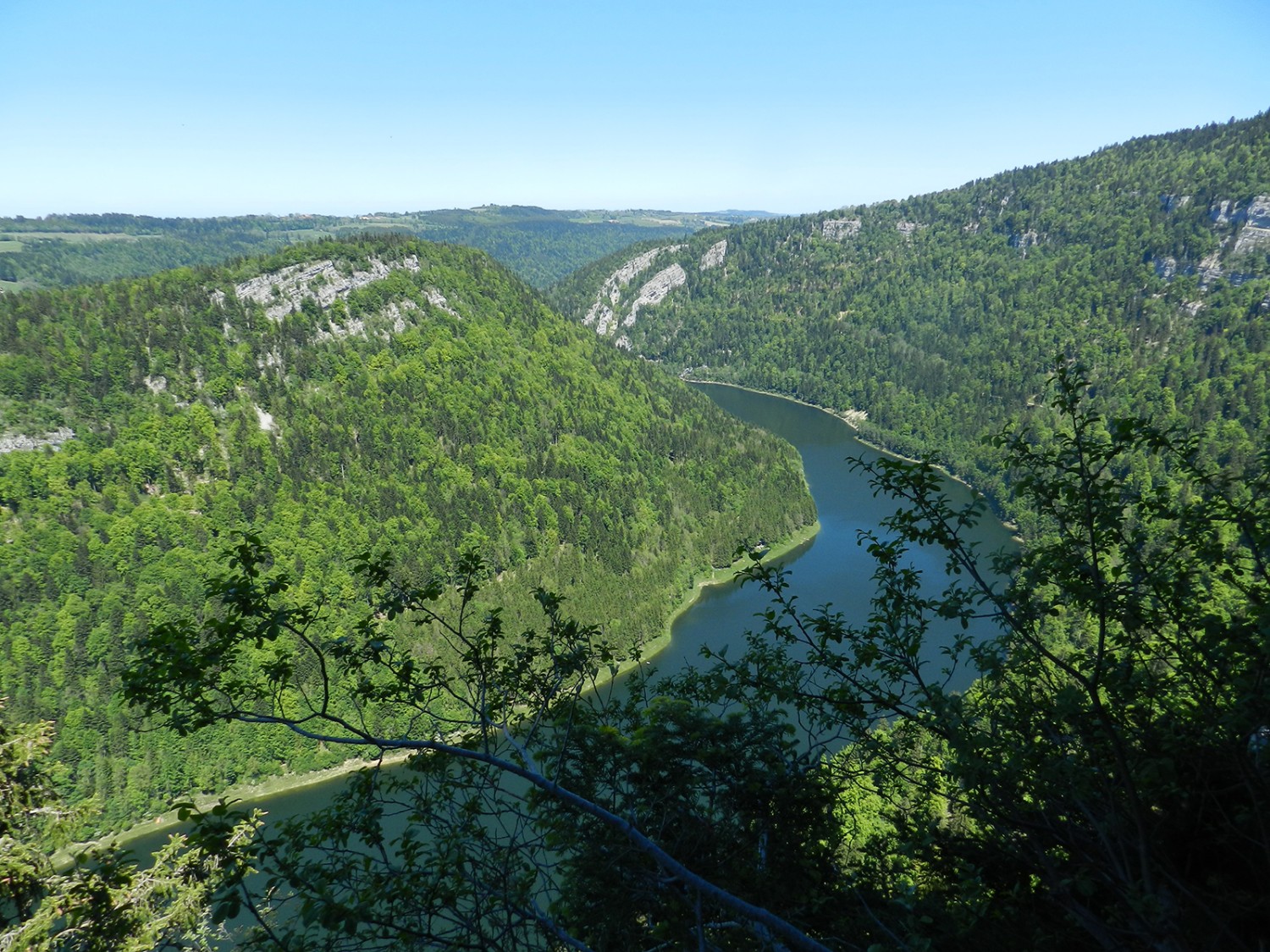 Depuis le Sentier Pillichody, les arbres laissent sporadiquement entrevoir le Doubs. Photo: P. Michaud